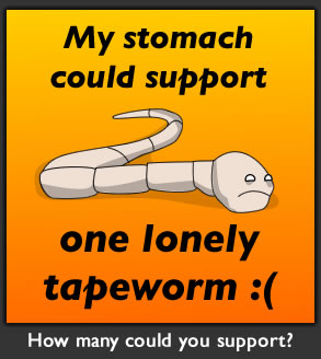 How many tapeworms could live in your stomach?