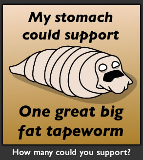 How many tapeworms could live in your stomach?